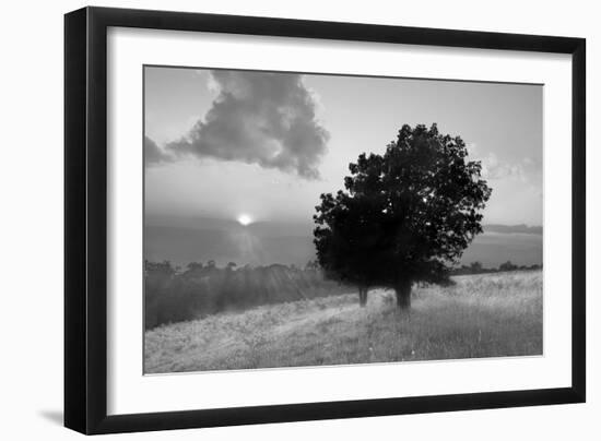 Spitler Knoll Overlook-Winthrope Hiers-Framed Photographic Print