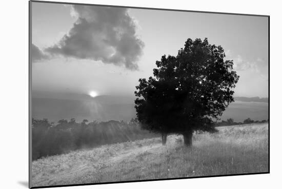 Spitler Knoll Overlook-Winthrope Hiers-Mounted Photographic Print