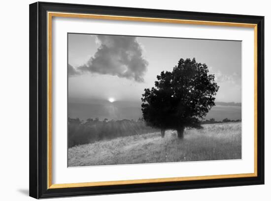 Spitler Knoll Overlook-Winthrope Hiers-Framed Photographic Print