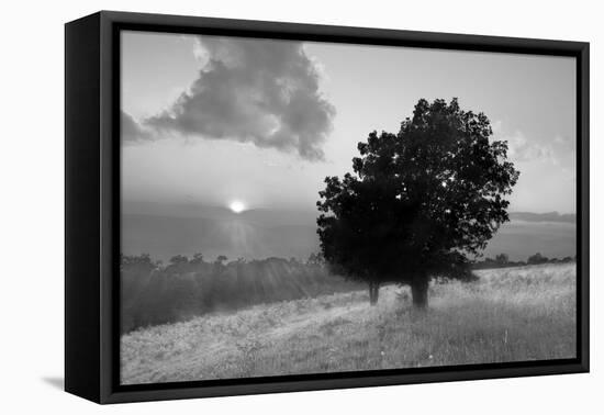 Spitler Knoll Overlook-Winthrope Hiers-Framed Premier Image Canvas
