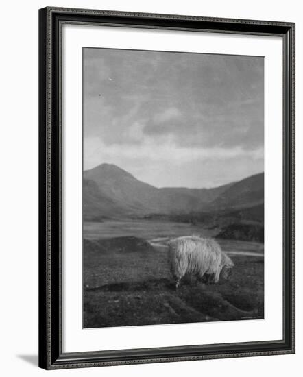 Spittal of Glenshee-Emil Otto Hoppé-Framed Photographic Print