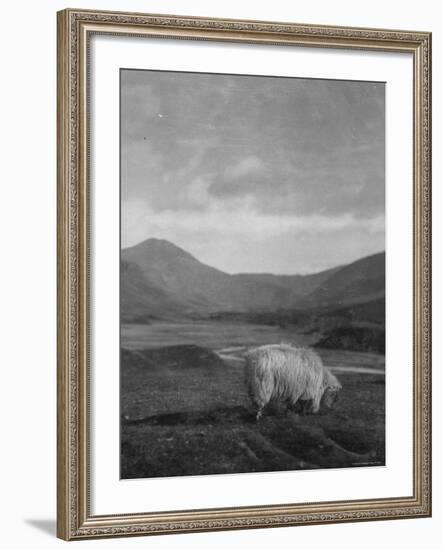 Spittal of Glenshee-Emil Otto Hoppé-Framed Photographic Print