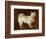 Spitz Dog, c.1760-70-Thomas Gainsborough-Framed Premium Giclee Print