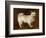 Spitz Dog, c.1760-70-Thomas Gainsborough-Framed Premium Giclee Print