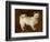 Spitz Dog, c.1760-70-Thomas Gainsborough-Framed Premium Giclee Print