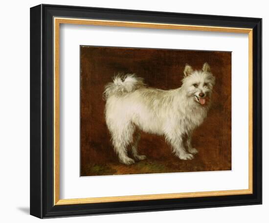 Spitz Dog, c.1760-70-Thomas Gainsborough-Framed Premium Giclee Print