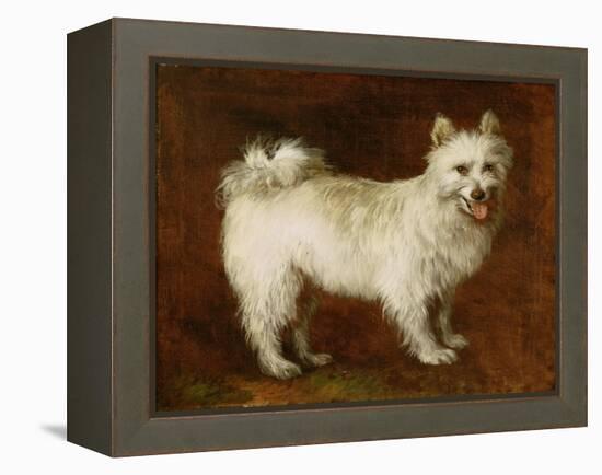 Spitz Dog, c.1760-70-Thomas Gainsborough-Framed Premier Image Canvas