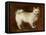 Spitz Dog, c.1760-70-Thomas Gainsborough-Framed Premier Image Canvas