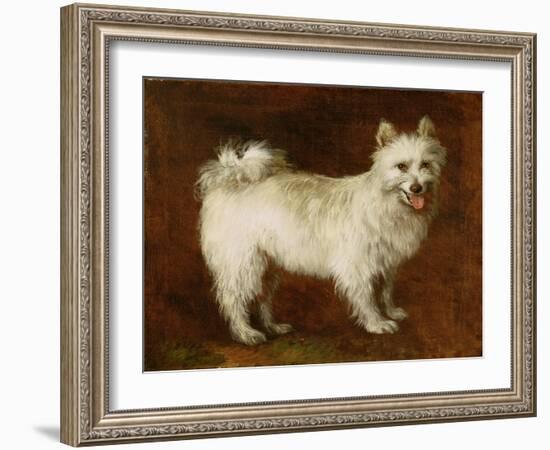 Spitz Dog, c.1760-70-Thomas Gainsborough-Framed Giclee Print