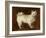 Spitz Dog, c.1760-70-Thomas Gainsborough-Framed Giclee Print