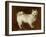 Spitz Dog, c.1760-70-Thomas Gainsborough-Framed Giclee Print