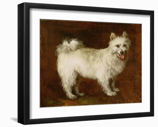 Spitz Dog, c.1760-70-Thomas Gainsborough-Framed Giclee Print