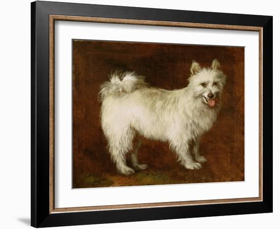 Spitz Dog, c.1760-70-Thomas Gainsborough-Framed Giclee Print