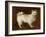 Spitz Dog, c.1760-70-Thomas Gainsborough-Framed Giclee Print