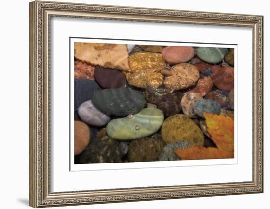 Splash in a Stream-Donald Paulson-Framed Giclee Print