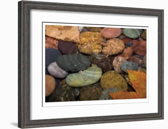 Splash in a Stream-Donald Paulson-Framed Giclee Print