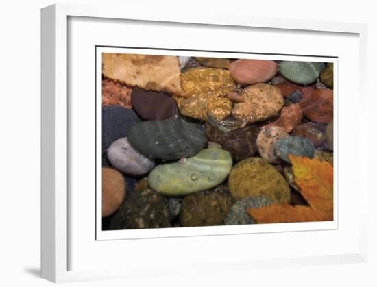 Splash in a Stream-Donald Paulson-Framed Giclee Print