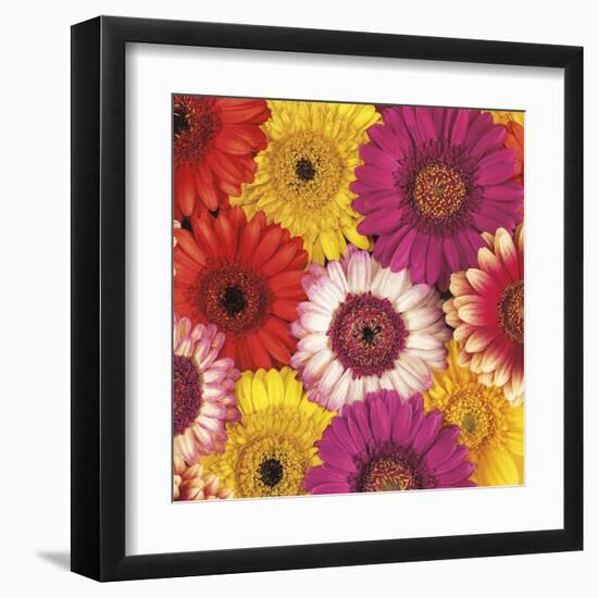 Splash of Color I-Assaf Frank-Framed Art Print