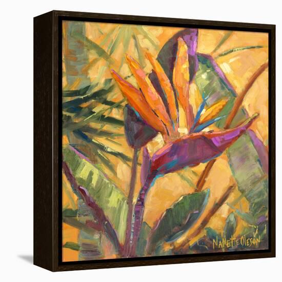 Splash of the Tropics I-Nanette Oleson-Framed Stretched Canvas