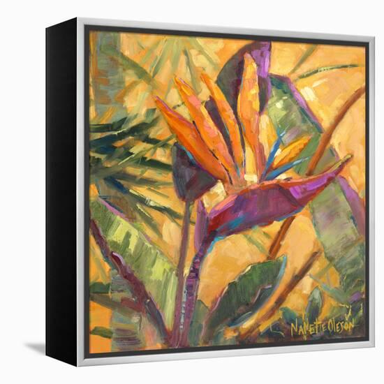 Splash of the Tropics I-Nanette Oleson-Framed Stretched Canvas