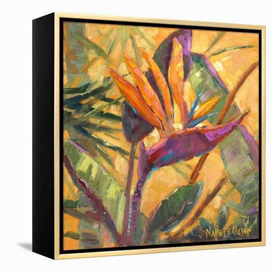 Splash of the Tropics I-Nanette Oleson-Framed Stretched Canvas