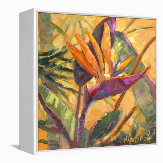 Splash of the Tropics I-Nanette Oleson-Framed Stretched Canvas