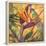 Splash of the Tropics I-Nanette Oleson-Framed Stretched Canvas