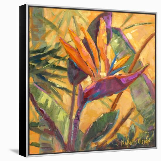 Splash of the Tropics I-Nanette Oleson-Framed Stretched Canvas