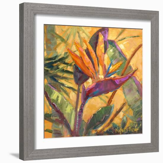 Splash of the Tropics I-Nanette Oleson-Framed Art Print