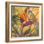 Splash of the Tropics I-Nanette Oleson-Framed Art Print