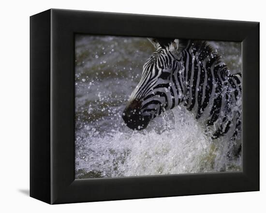 Splash-Art Wolfe-Framed Premier Image Canvas