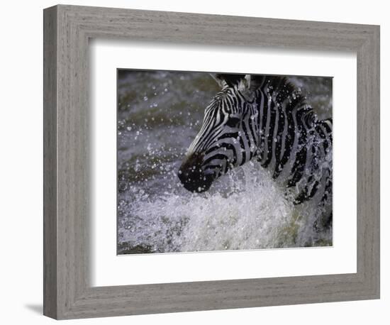 Splash-Art Wolfe-Framed Photographic Print