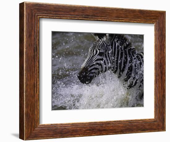 Splash-Art Wolfe-Framed Photographic Print