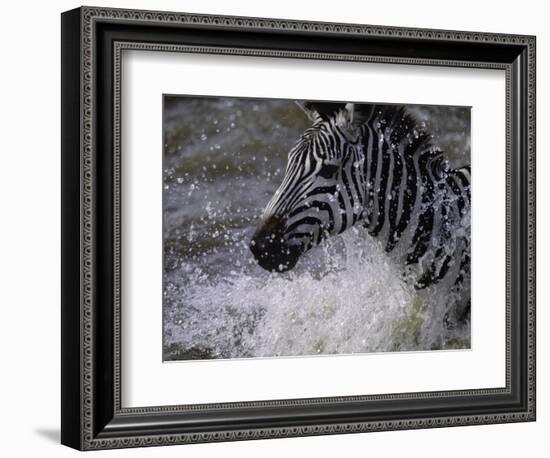 Splash-Art Wolfe-Framed Photographic Print