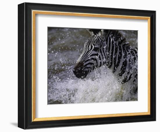 Splash-Art Wolfe-Framed Photographic Print