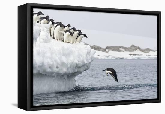 Splash-Joan Gil Raga-Framed Premier Image Canvas