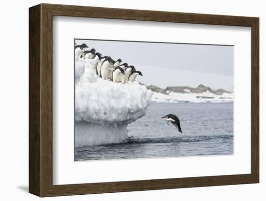 Splash-Joan Gil Raga-Framed Photographic Print