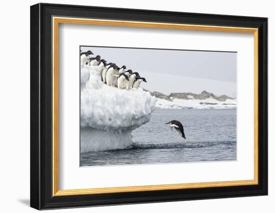 Splash-Joan Gil Raga-Framed Photographic Print