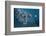 SplashDog-Marcel Egger-Framed Photographic Print