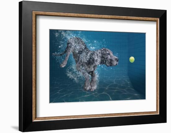 SplashDog-Marcel Egger-Framed Photographic Print