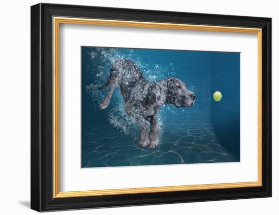 SplashDog-Marcel Egger-Framed Photographic Print