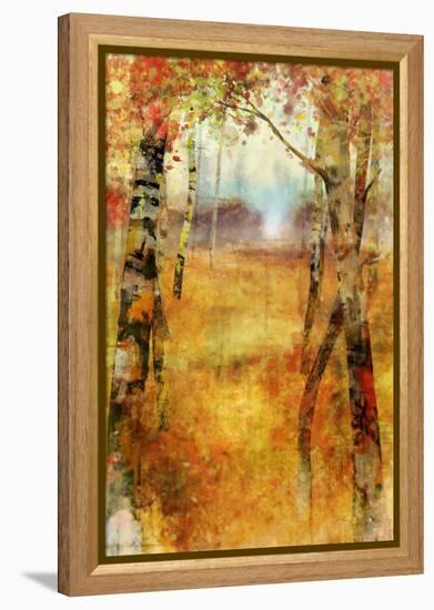 Splashes of Autumn-Ken Roko-Framed Stretched Canvas