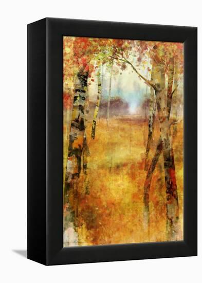 Splashes of Autumn-Ken Roko-Framed Stretched Canvas