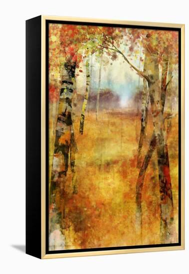 Splashes of Autumn-Ken Roko-Framed Stretched Canvas