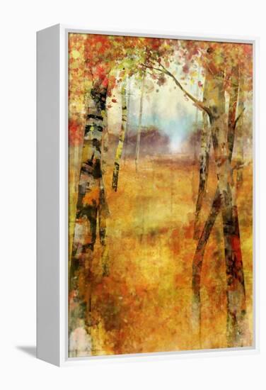 Splashes of Autumn-Ken Roko-Framed Stretched Canvas