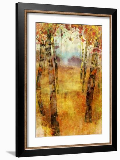 Splashes of Fall-Ken Roko-Framed Art Print