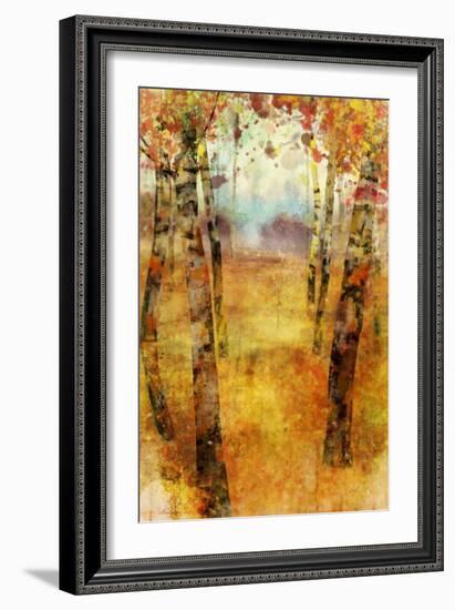 Splashes of Fall-Ken Roko-Framed Art Print