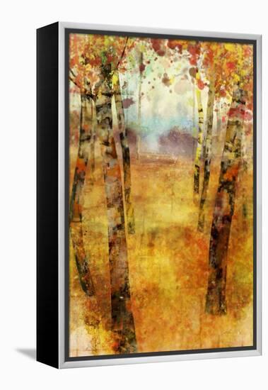 Splashes of Fall-Ken Roko-Framed Stretched Canvas