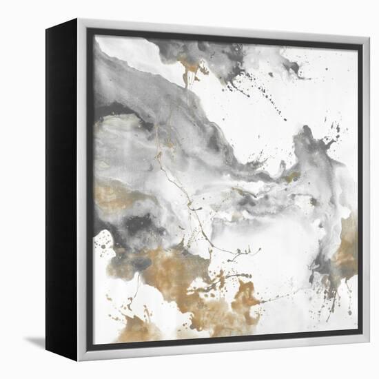 Splashing Elegance VI-Rikki Drotar-Framed Premier Image Canvas