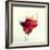 Splashing Margarita Cocktail-nikkytok-Framed Photographic Print